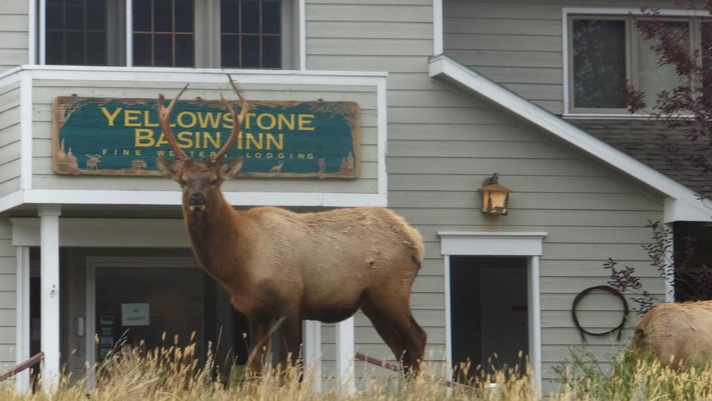 Yellowstone Basin Inn Gardiner Exterior foto